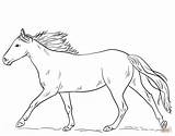 Coloring Pages cartoon horse Running sketch template