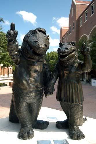 Albert & Alberta | Gator nation, Florida gators football, South florida fun