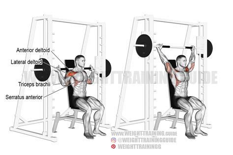 Seated Smith machine behind-the-neck shoulder press instructions