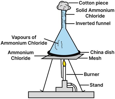 Describe an experiment to demonstrate the process of | KnowledgeBoat