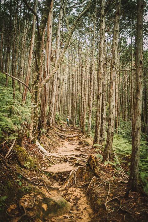 17 Things To Know BEFORE Hiking The Kumano Kodo Pilgrimage Trail