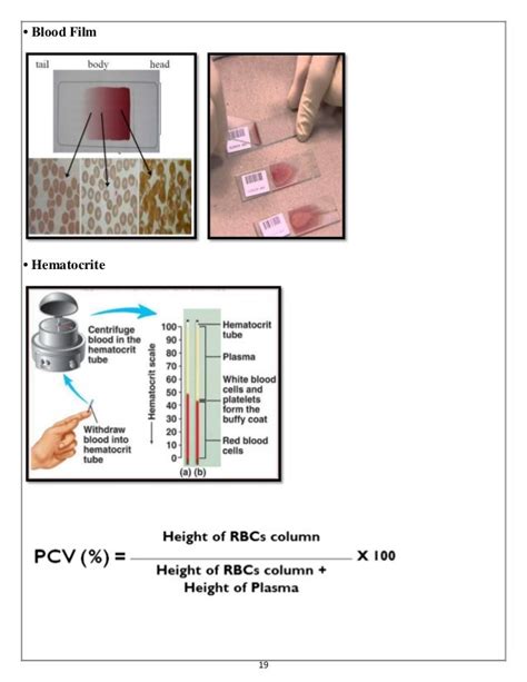 Urine analysis & Hematology Slides