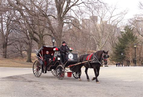 Central Park Carriage Rides in March!