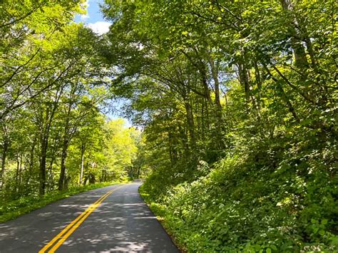 Craggy Gardens on The Blue Ridge Parkway: Everything To Know - When In ...