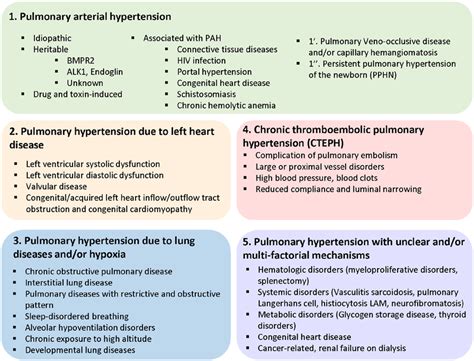 Updated classification of pulmonary hypertension. The World Health ...