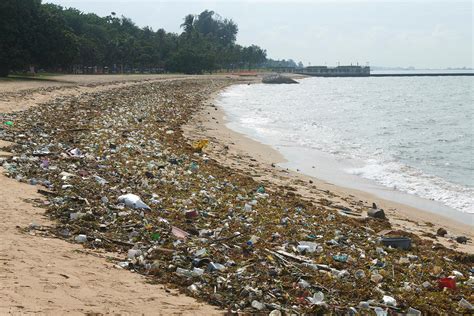 National Day Community Service – Beach Cleanup at East Coast