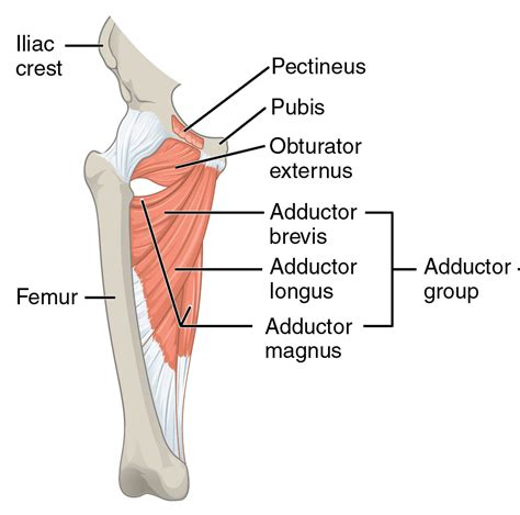 The Best Soccer Prehab Exercises For Injury Prevention – [𝗣]𝗥𝗲𝗵𝗮𝗯