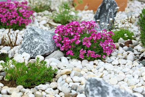 Rock garden Stock Photo by ©brebca 5397650