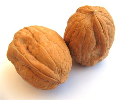 Health Benefits of Walnut - How to Boost Your Immunity