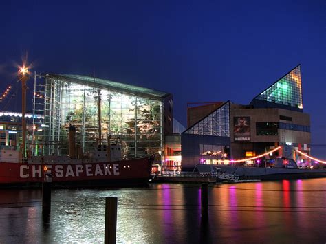 Tourism: Baltimore Aquarium