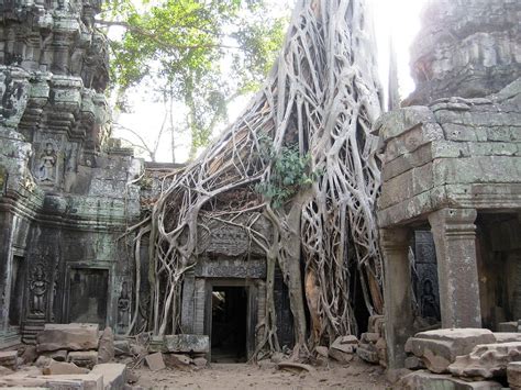 Ta Prohm Temple - All You Should Know Before Visiting in 2022