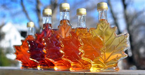 Canada tapping into maple syrup strategic reserves amid global shortage ...