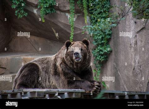 Milwaukee County Zoo Stock Photo - Alamy