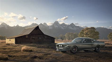 Mustang on Ranch on Behance