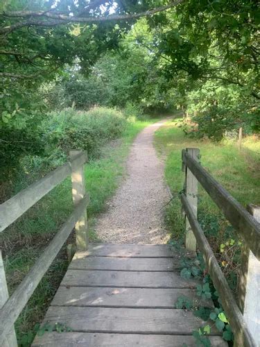 Best Hikes and Trails in Hook with Warsash Local Nature Reserve | AllTrails