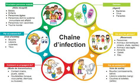 Chaîne d'infection - Santé publique Ottawa | Chain of infection ...