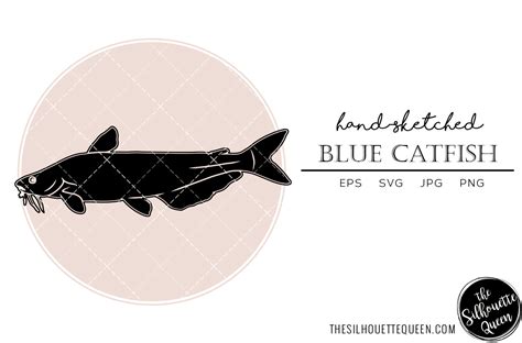 Blue Catfish Hand Sketched Graphic by thesilhouettequeenshop · Creative Fabrica