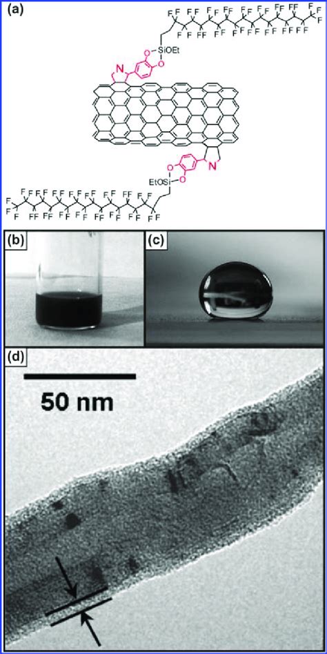 (a) Schematic representation of perfluoroalkyl-functionalized CNTs. (b)... | Download Scientific ...