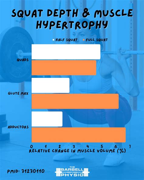 SQUAT DEPTH & MUSCLE HYPERTROPHY⁠⁠⁠... - The Barbell Physio