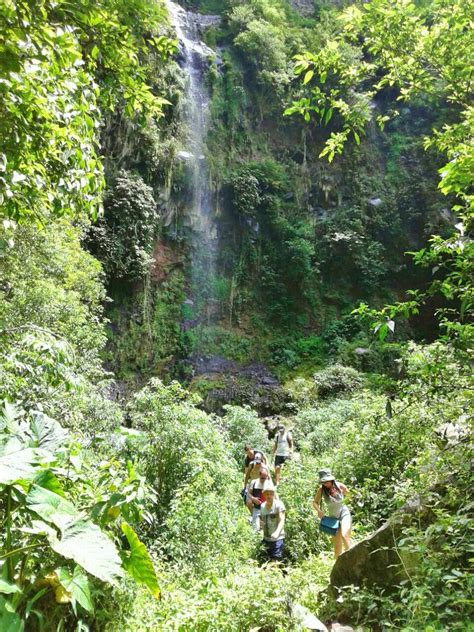 CLOUD FOREST HIKING WATERFALLS TOUR – Boquete Outdoor Adventures Store