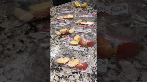 Apple Experiment 4 (Apple Oxidation Time Lapse) - YouTube