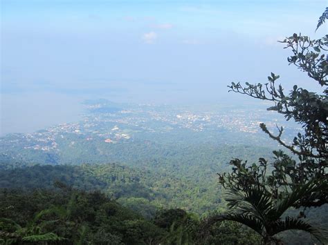 LEXICAL CROWN: A DAY CLIMB IN MOUNT MAKILING PEAK 2 FOR AS LOW AS P420