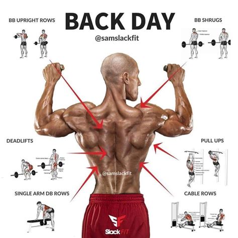 Pin by Gerd Schütz on Upper Body | Good back workouts, Workout plan gym ...