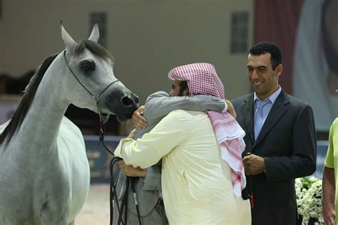 H.H Sheikh Sultan Bin Zayed Al Nahyan Arabian Breeders' Championship ...