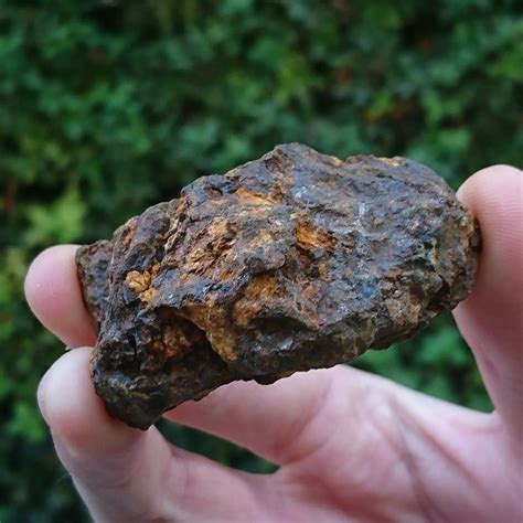 Sericho pallasite. Stony-Iron Meteorite - 60.7 g - Catawiki