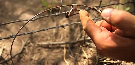 How to Make a Snare Trap for Catching Food | The Prepping Guide