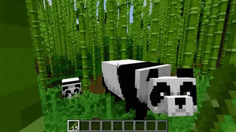 How to Tame Pandas in Minecraft? - My Otaku World