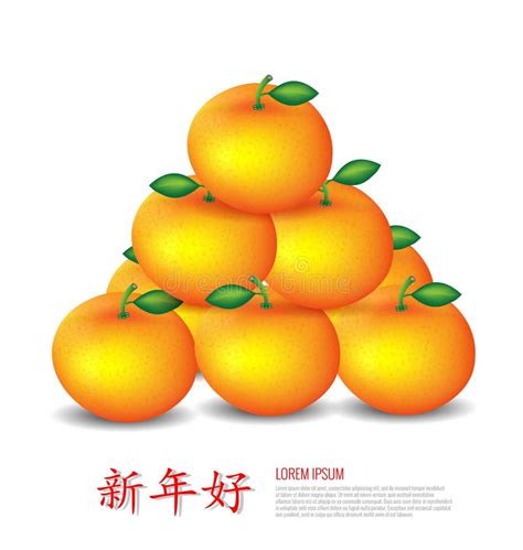 Chinese New Year Mandarin Oranges Stock Vector - Image: 48887981