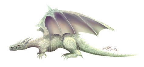 Albino Dragon by Alicelikesblacktea on DeviantArt