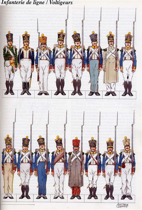 voltigeurs, infanterie de ligne | French army, Napoleonic wars, Wwii german uniforms