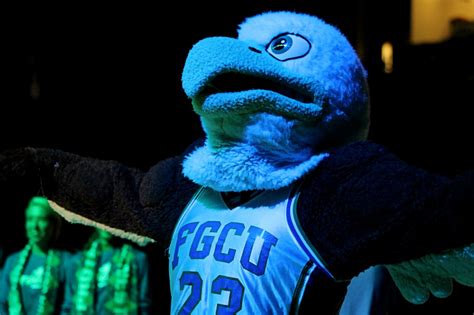 Azul the Eagle (Florida Gulf Coast University) | SportsMascots Wikia ...