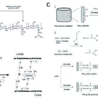 Synthesis roadmap of polysaccharide materials. (A) schematic diagram of ...