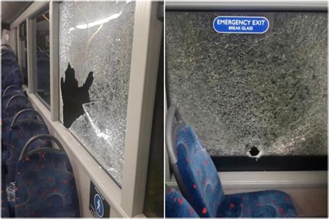 McGill's Buses reveal shocking snaps of broken bus windows after scooter HURLED at coach as ...