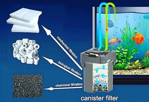 10 Best Aquarium Filter Media Reviewed in Detail (Fall 2023)