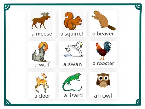 Diurnal Nocturnal Animals Free Activities online for kids in 1st grade by Sharon He