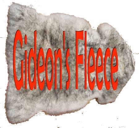 Folks, Listen!: God's Will and Fleeces