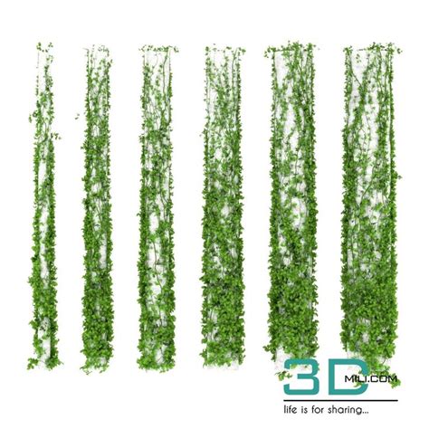 05.Leaves for columns. 6 sizes - 3DMili 2023 - Download 3D Model - Free ...