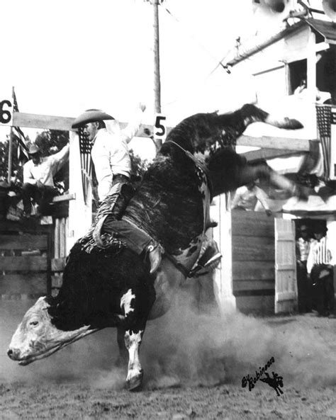 17 Best images about Just Bull Riders on Pinterest | Lane frost, Mike d ...