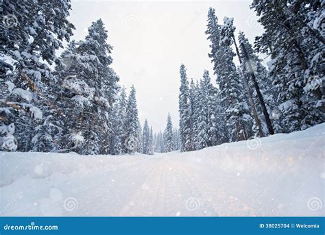 Scenic Winter Road stock photo. Image of scenic, snowflakes - 38025704