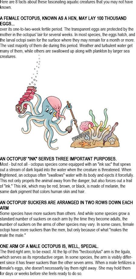 The Standard Oil Octopus Worksheet Answer Key