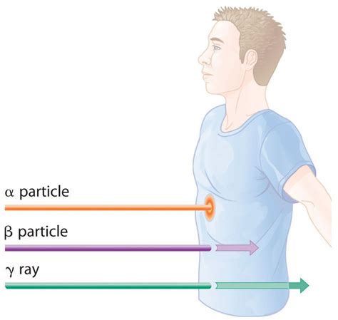 Gamma Radiation Effects On Humans | Gamma Radiation | Radiation, Gamma, Human