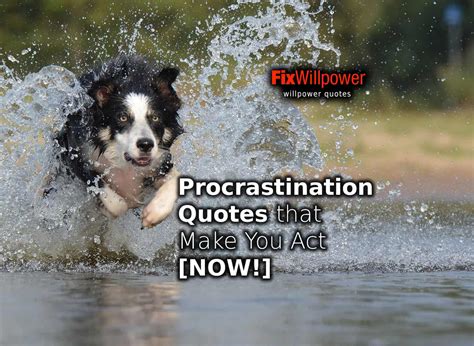 Procrastination Quotes that Inspire You to Act [NOW!] - FixWillpower