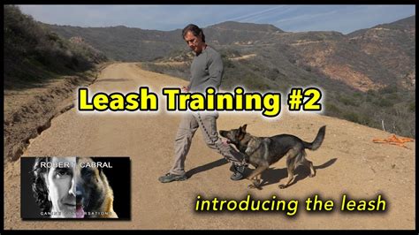 Leash Training 2 - Introducing the Leash - Dog Training Video - YouTube