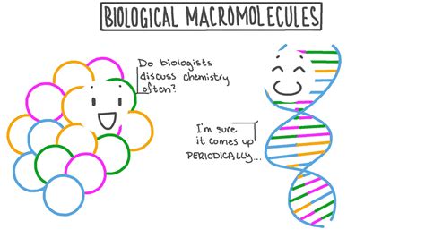 Macromolecules Examples