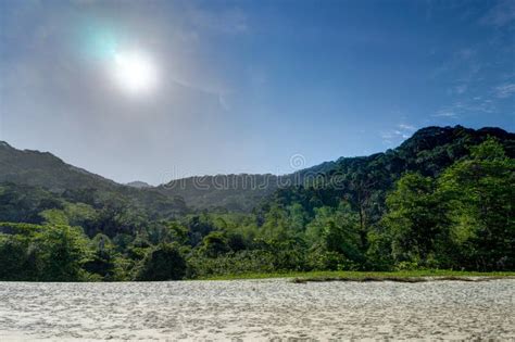 Beach Pedra Da Praia Do Meio Trindade, Paraty Rio De Janeiro Bra Stock ...