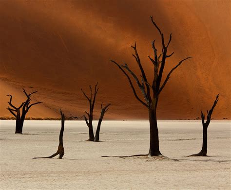 Surreal Namibia Photography Tour - May/June 2025